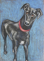 2013Chalk-Feeley